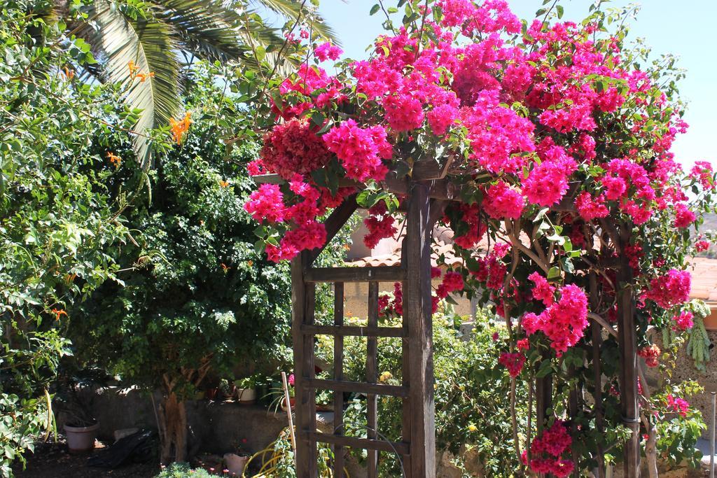 Casa Rural Anton Piche With Pool-Adults Only Granadilla De Abona Exterior photo