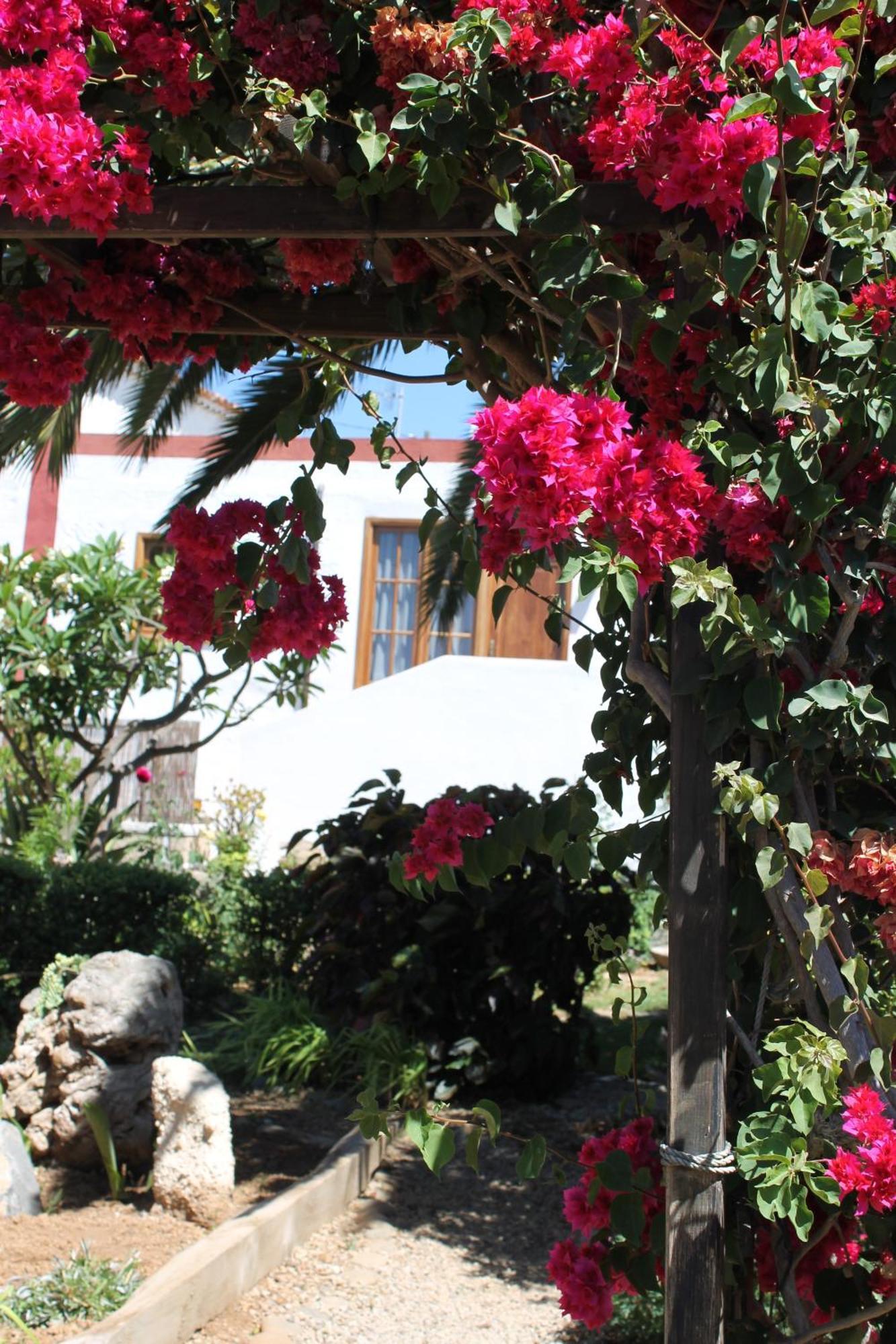 Casa Rural Anton Piche With Pool-Adults Only Granadilla De Abona Exterior photo