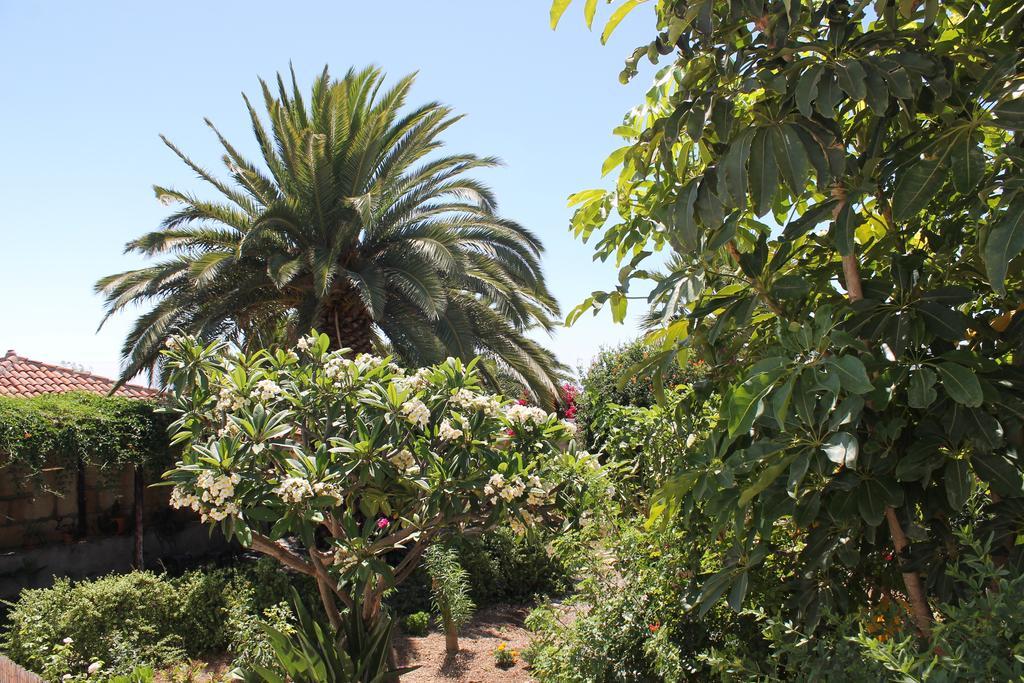 Casa Rural Anton Piche With Pool-Adults Only Granadilla De Abona Exterior photo