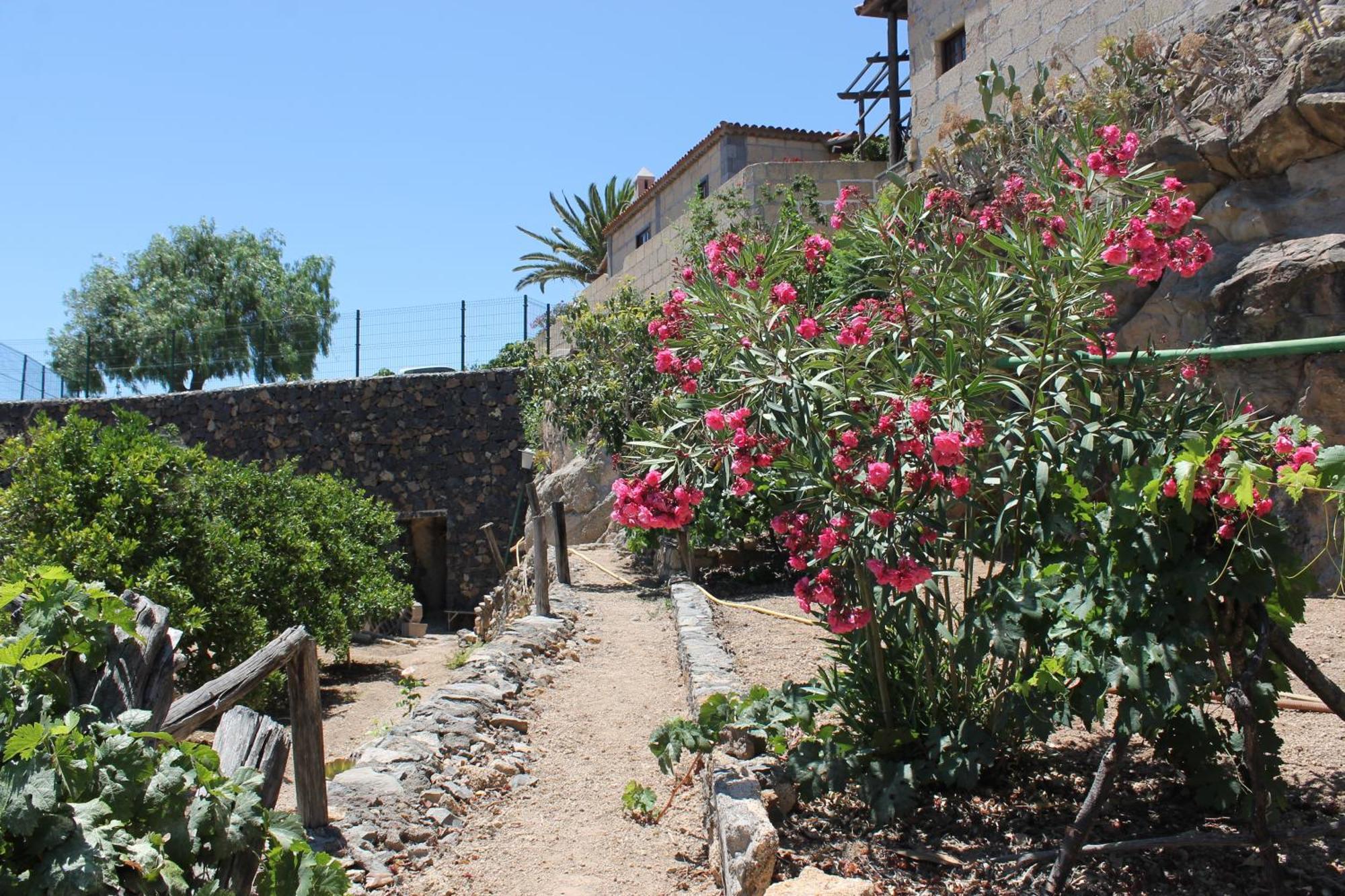 Casa Rural Anton Piche With Pool-Adults Only Granadilla De Abona Exterior photo
