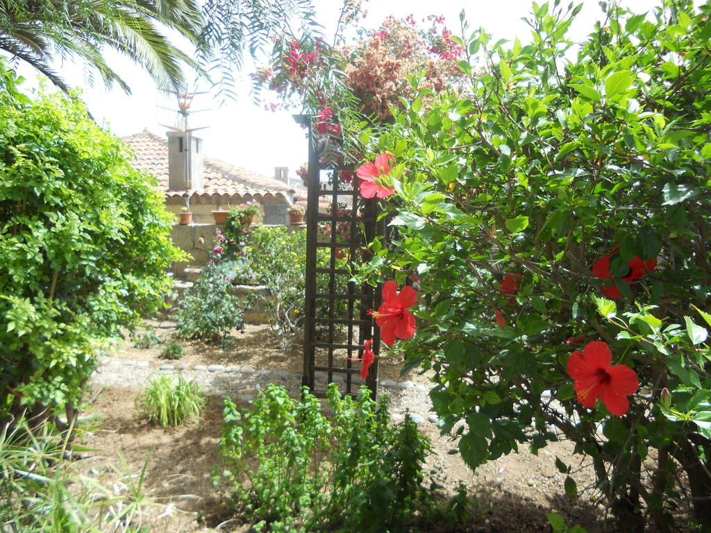 Casa Rural Anton Piche With Pool-Adults Only Granadilla De Abona Exterior photo